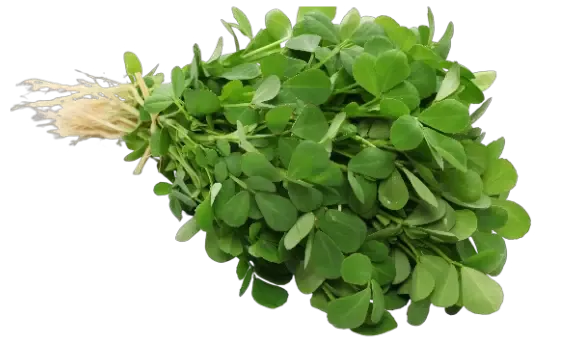 Fenugreek